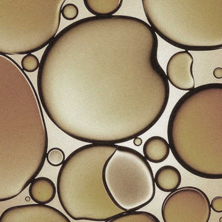 Ceramide Complex