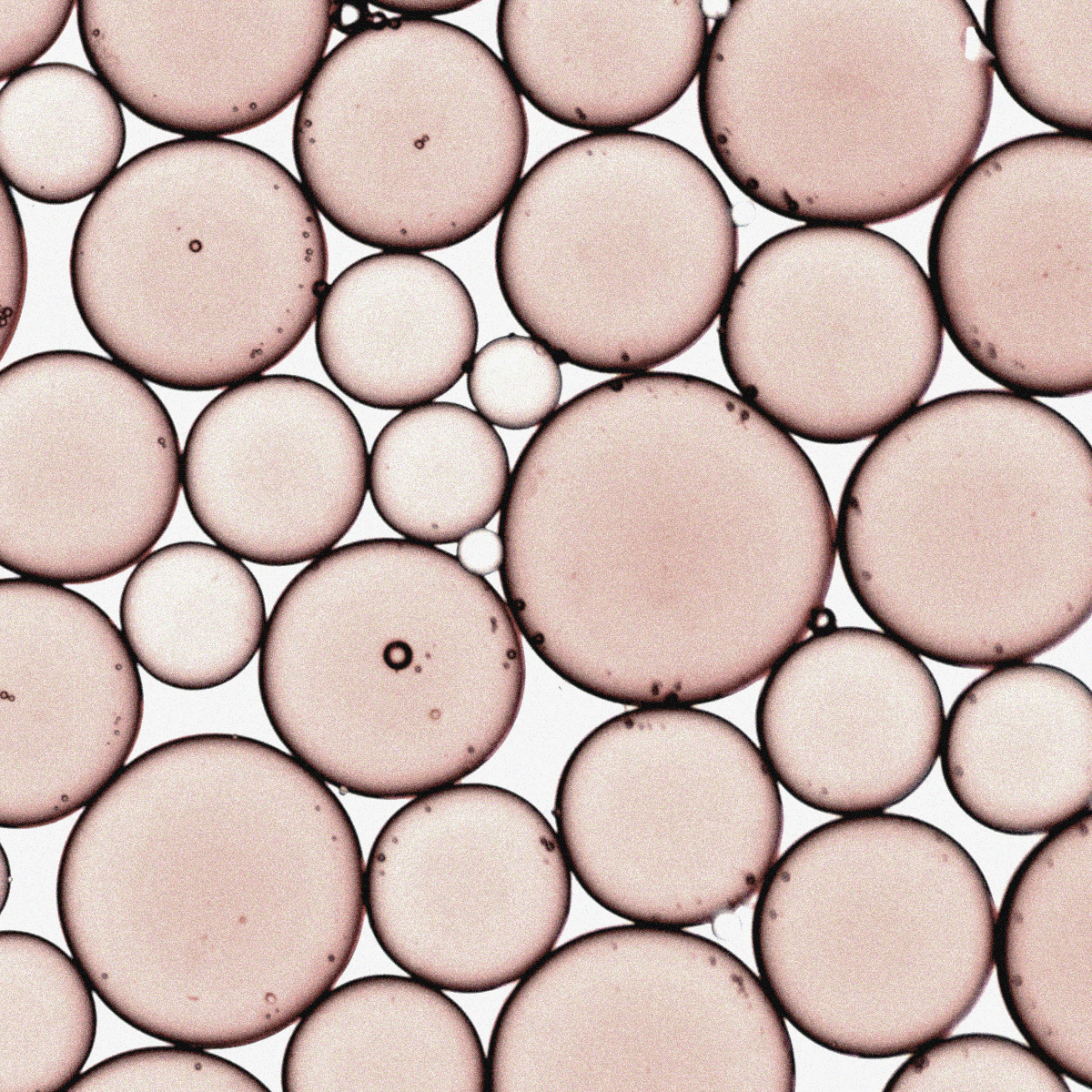 Hydroxypinacolone Retinoate (HPR)
