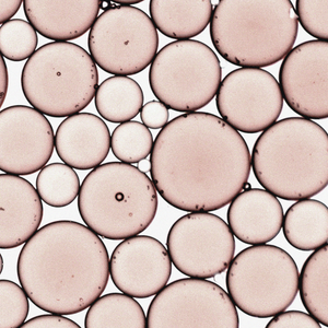Hydroxypinacolone Retinoate (HPR)