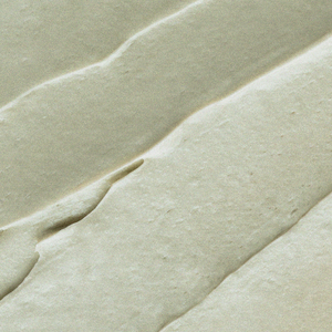 Butyrospermum Parkii (Shea) Butter