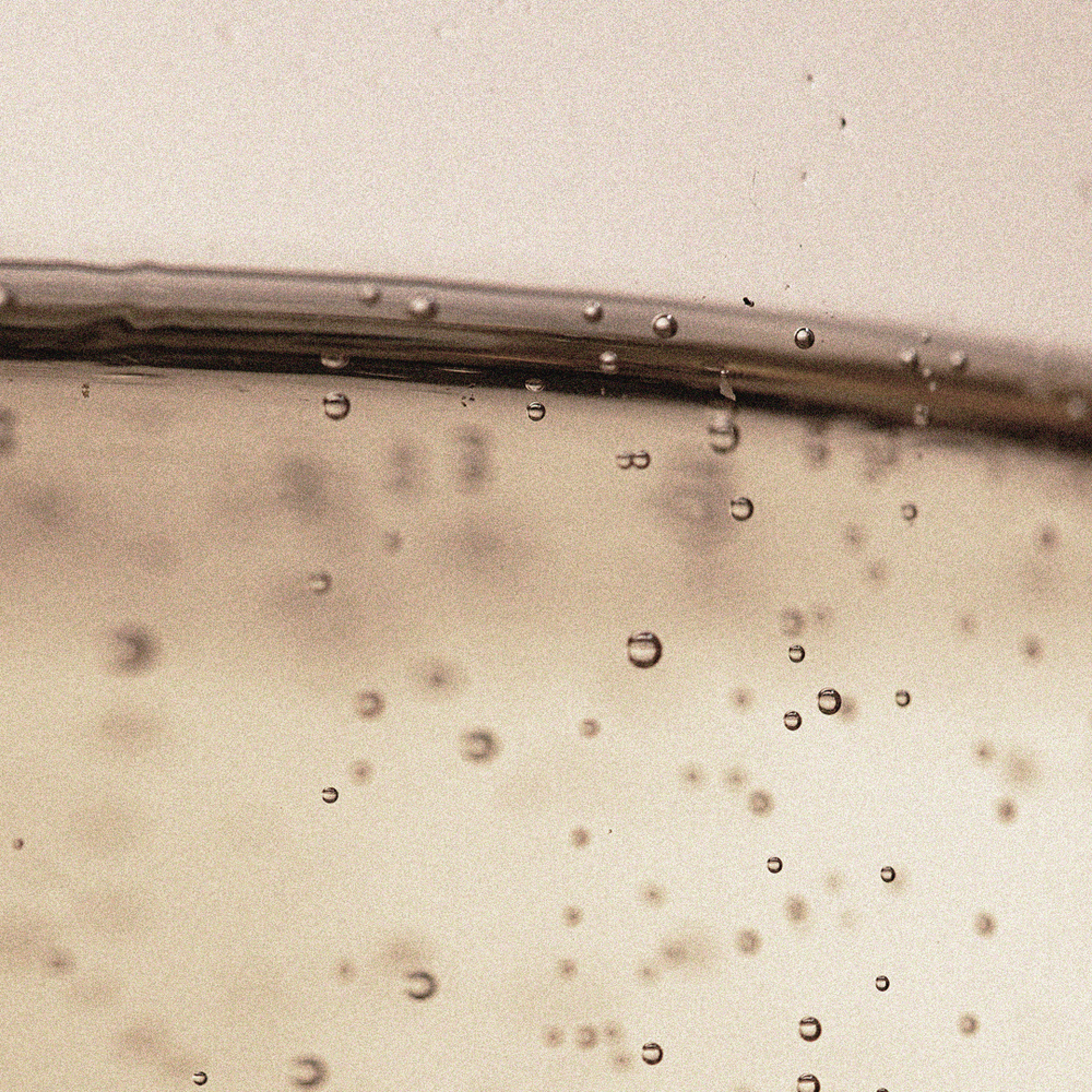 Bifida Ferment Filtrate